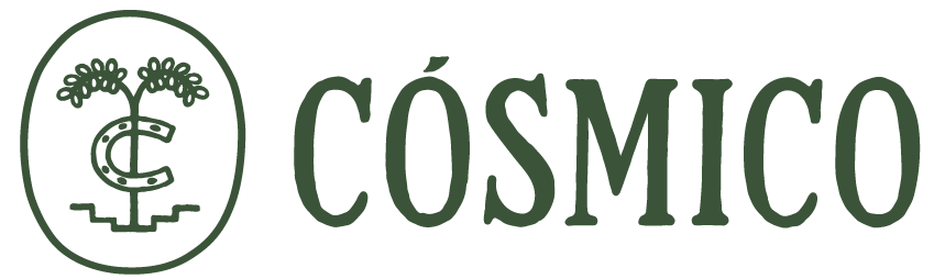 Logo Cosmico